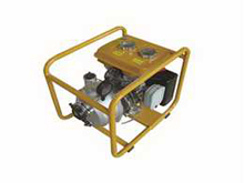 PTK306